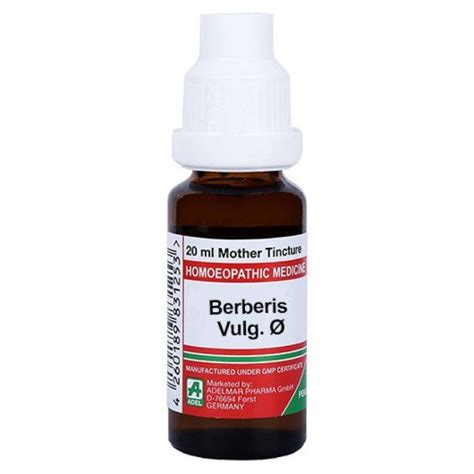 berberis vulgaris medication.